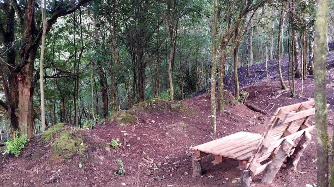Curuba Lodge Copey Exteriör bild