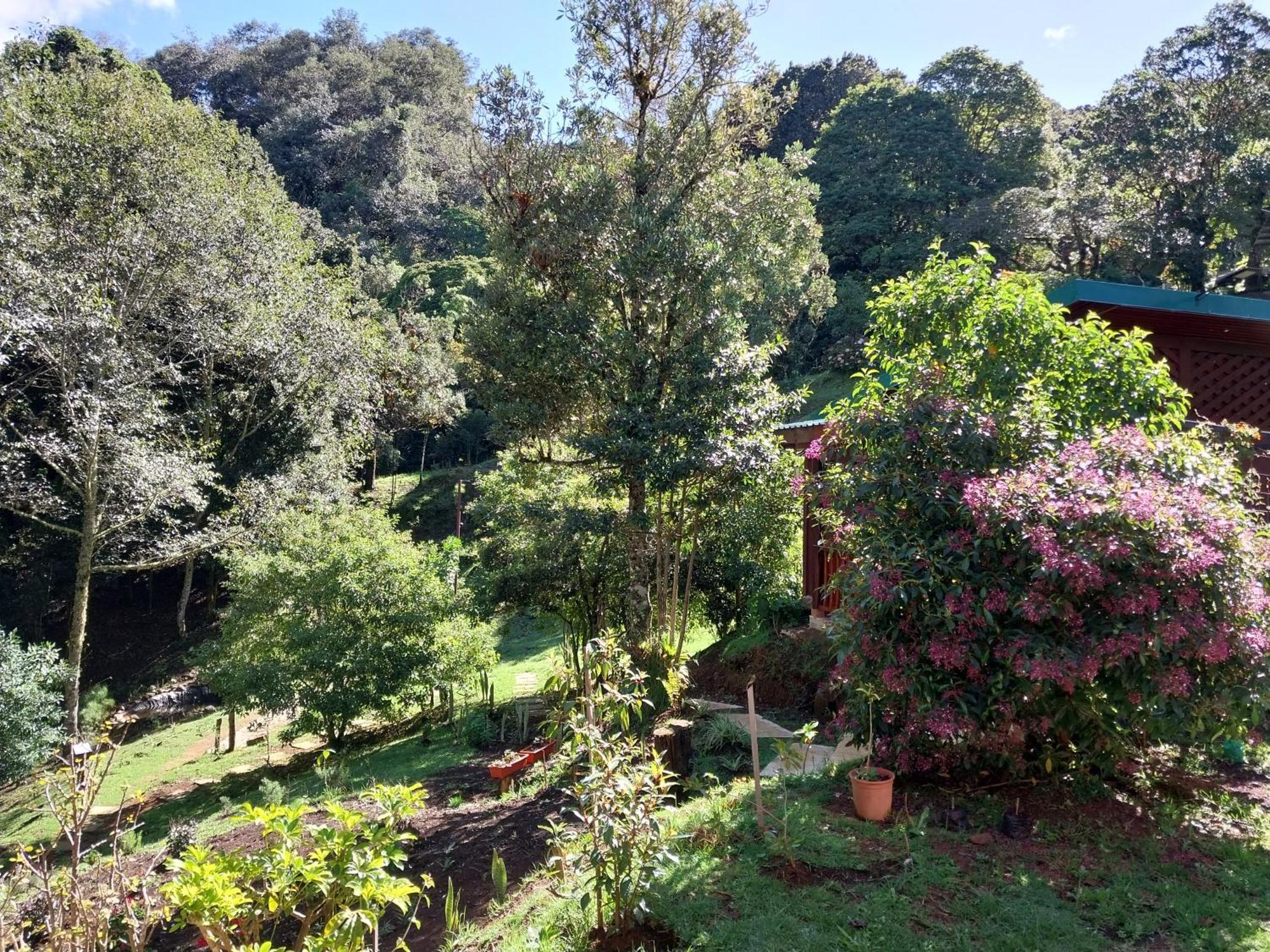 Curuba Lodge Copey Exteriör bild