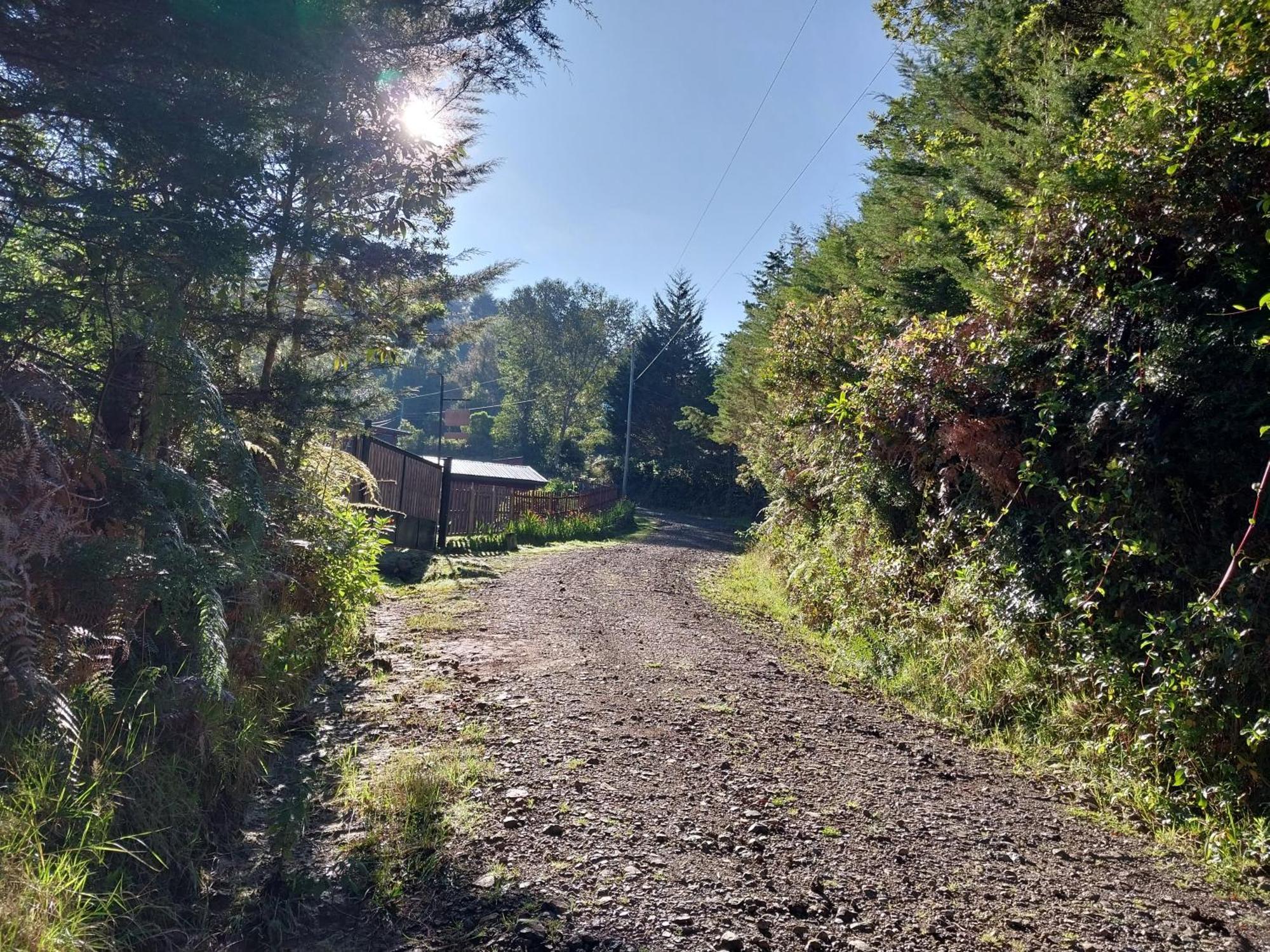 Curuba Lodge Copey Exteriör bild