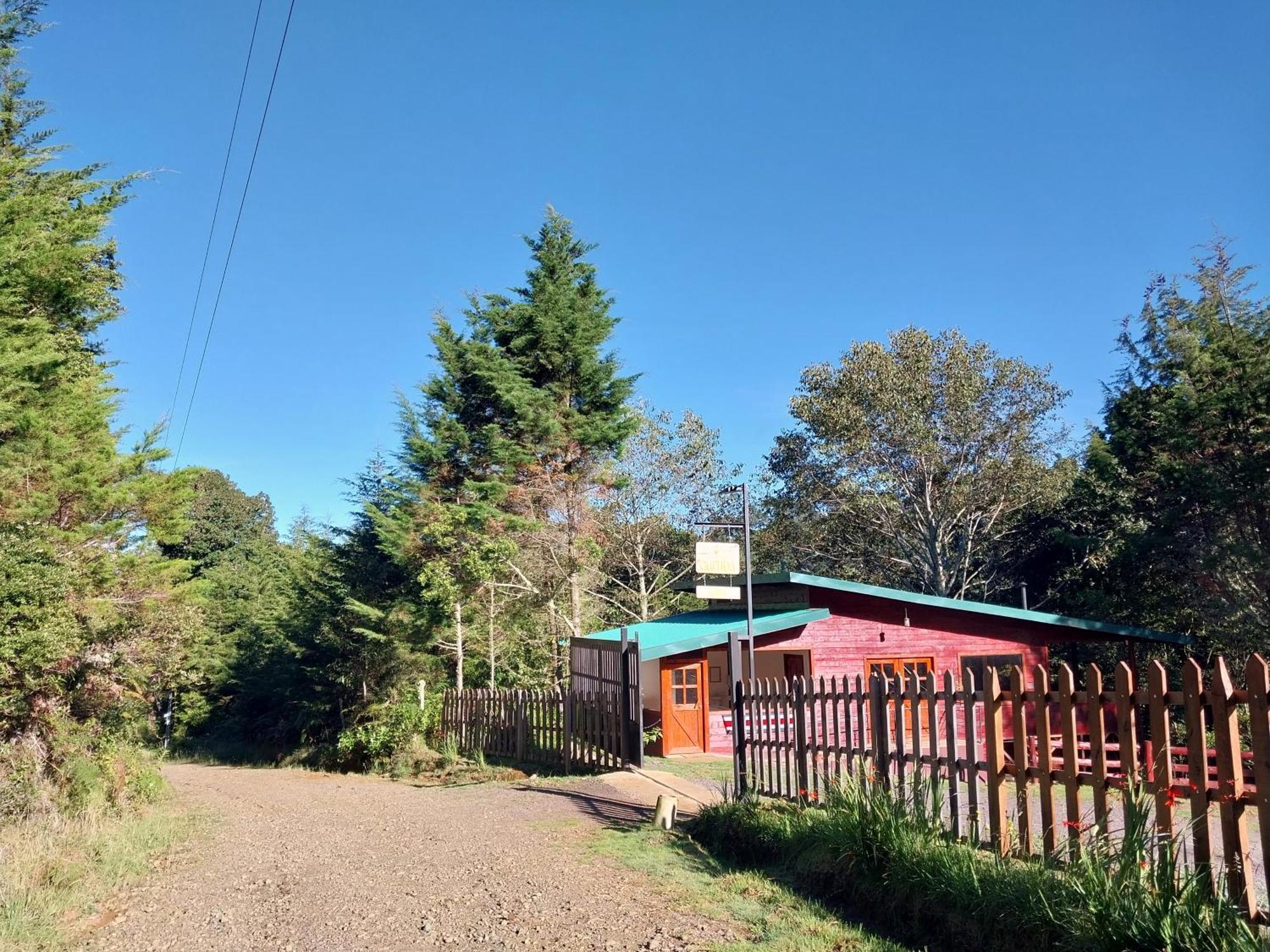 Curuba Lodge Copey Exteriör bild