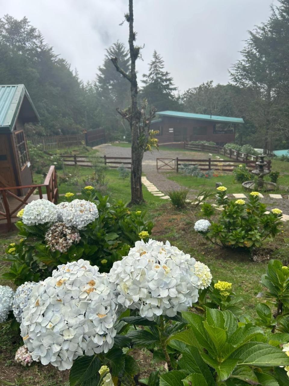 Curuba Lodge Copey Exteriör bild