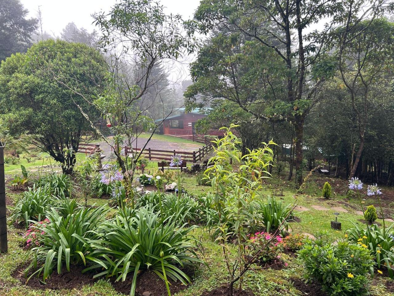 Curuba Lodge Copey Exteriör bild