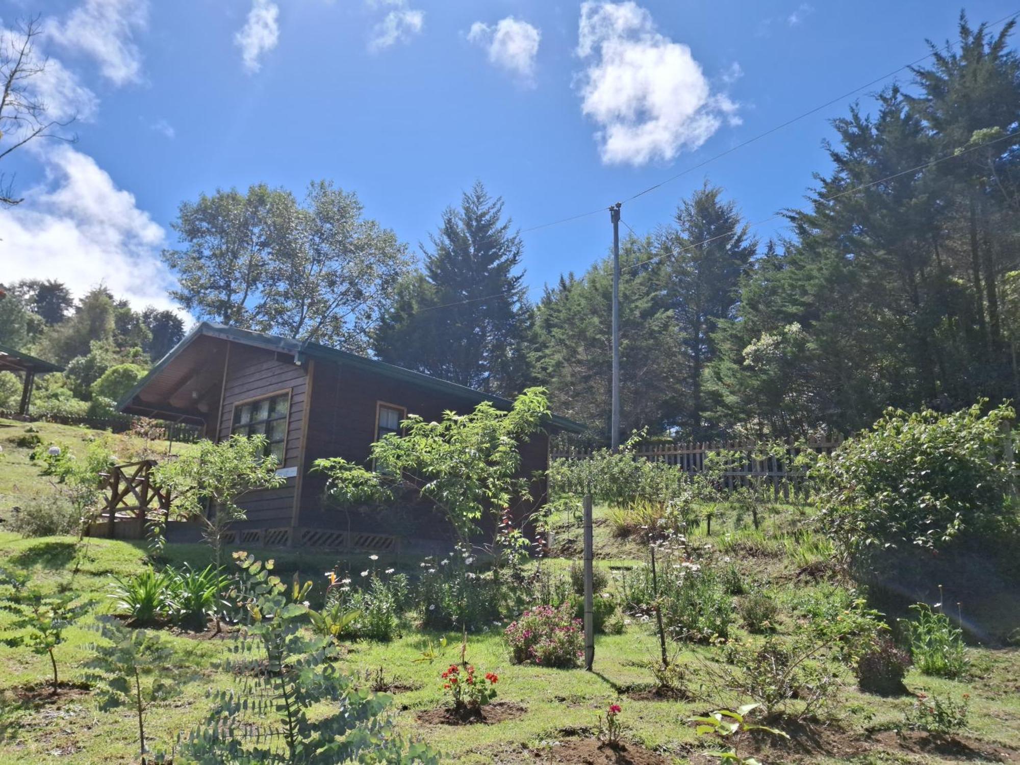Curuba Lodge Copey Exteriör bild