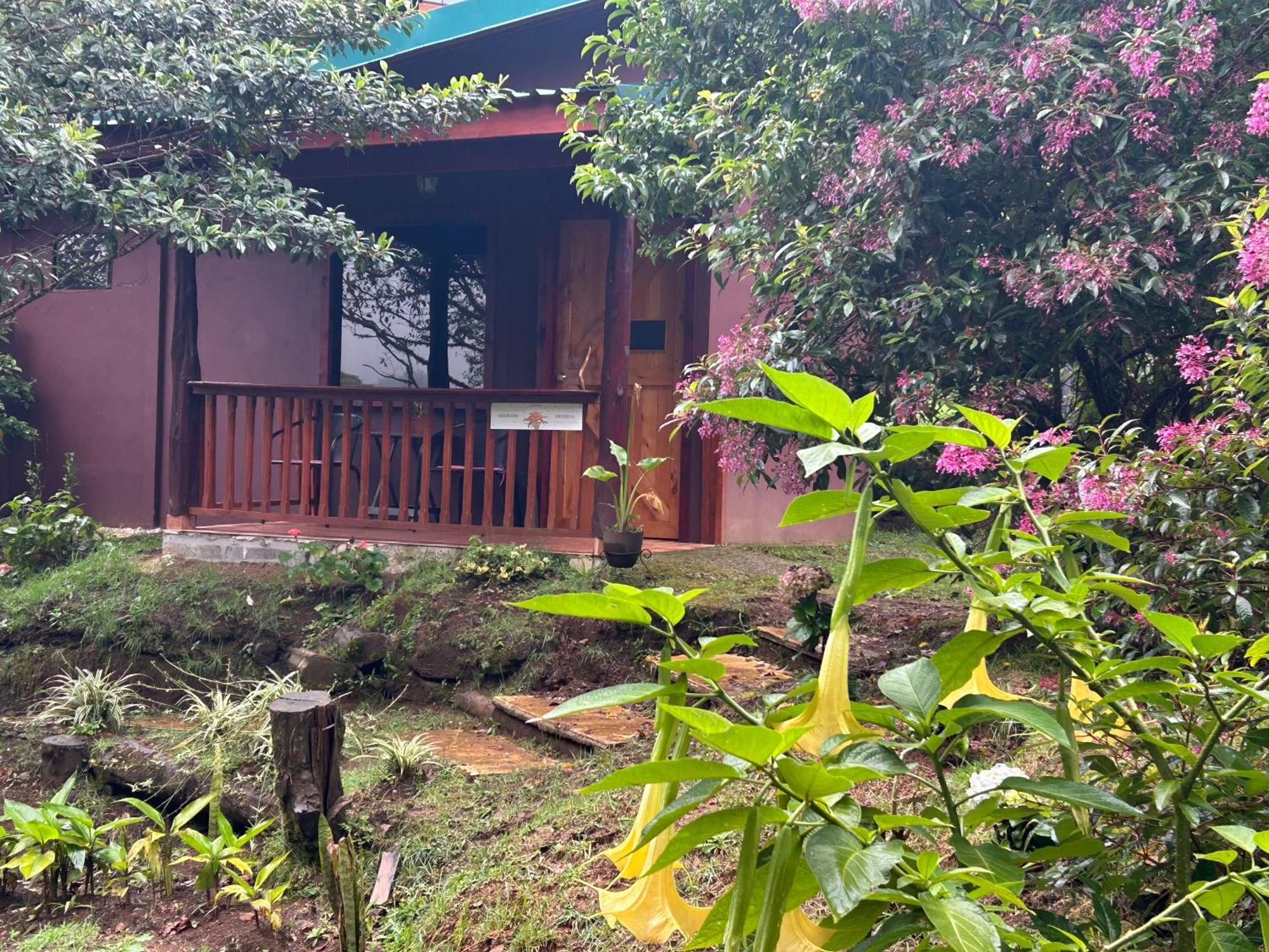 Curuba Lodge Copey Exteriör bild