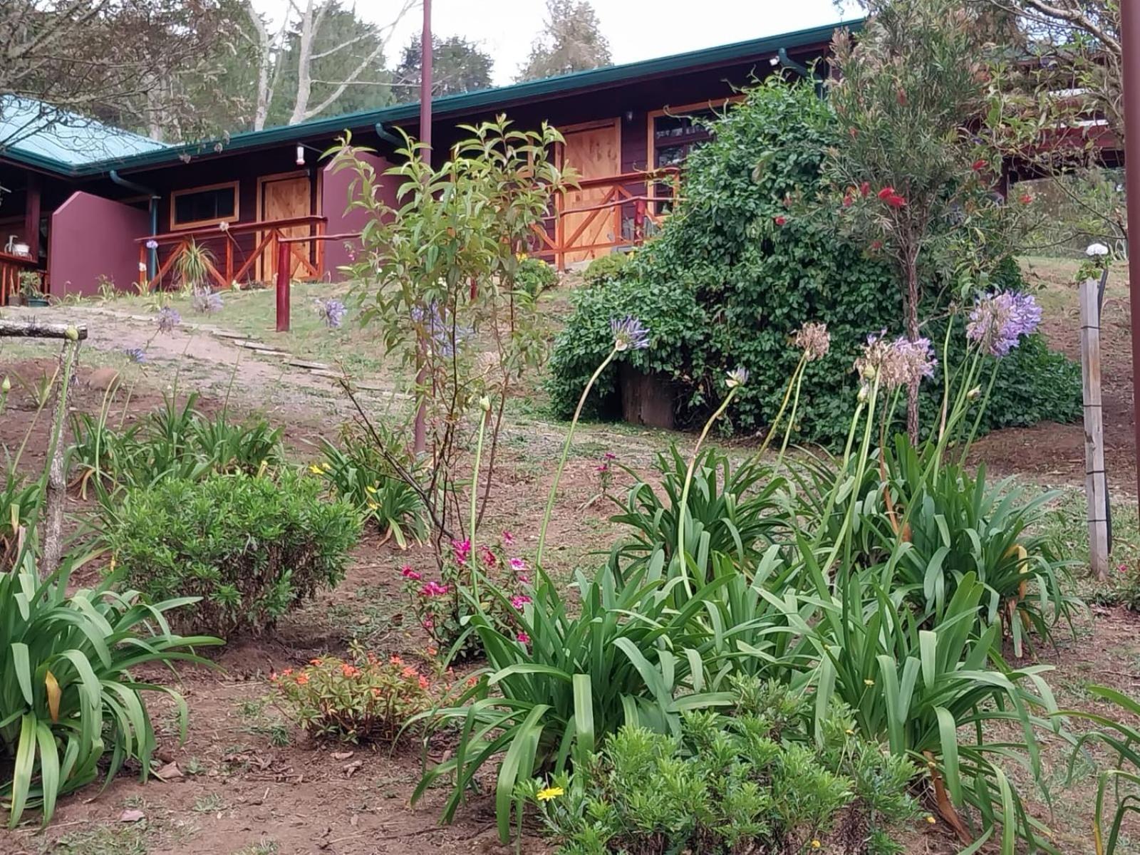Curuba Lodge Copey Exteriör bild