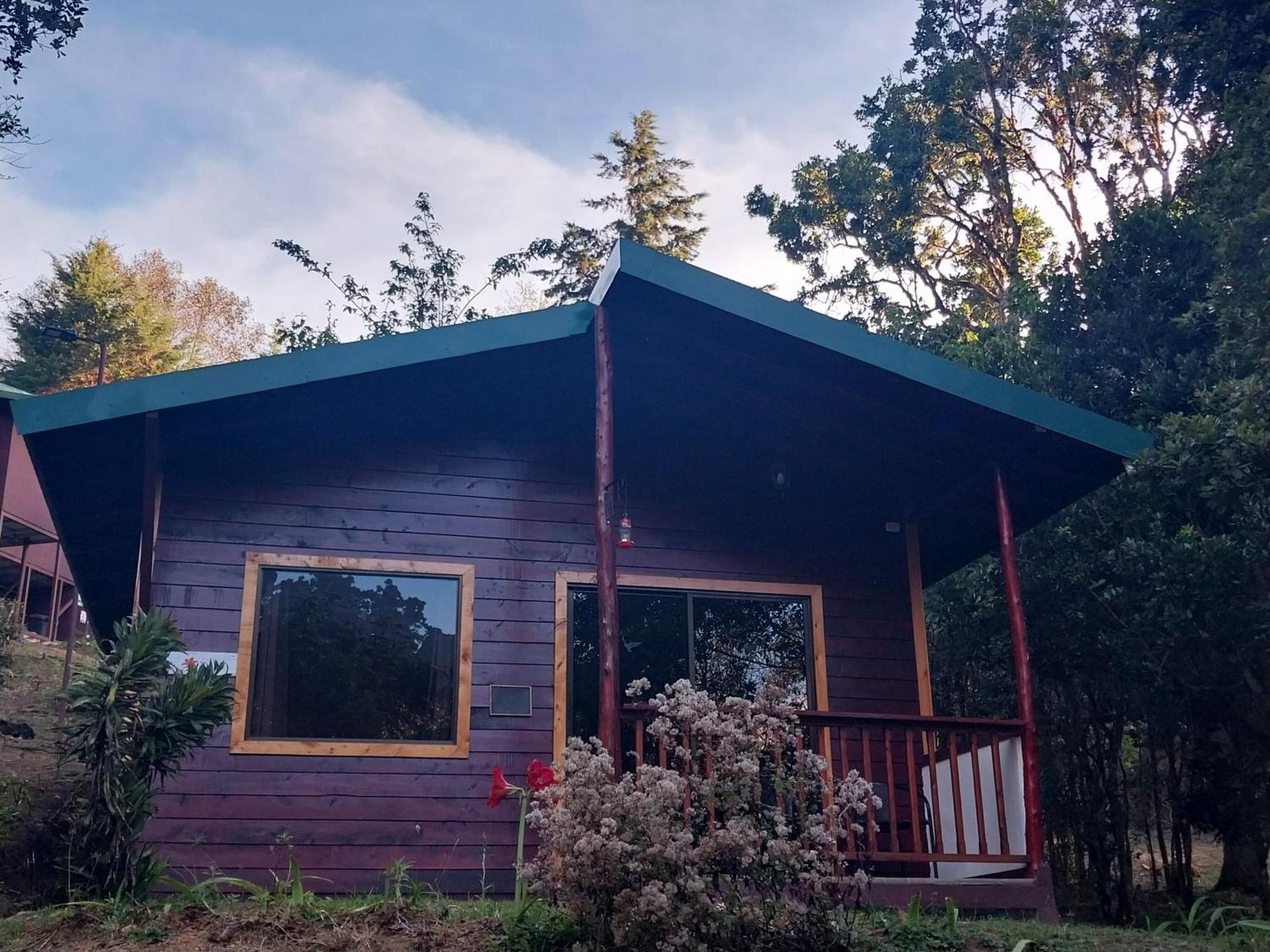 Curuba Lodge Copey Exteriör bild