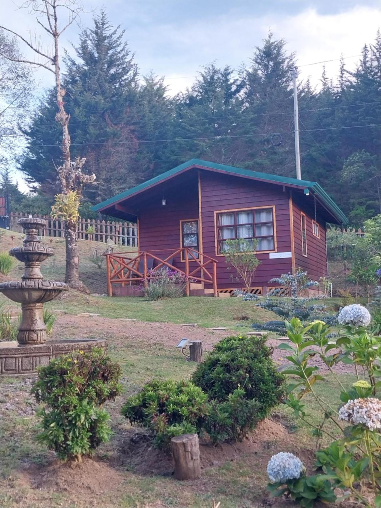 Curuba Lodge Copey Exteriör bild