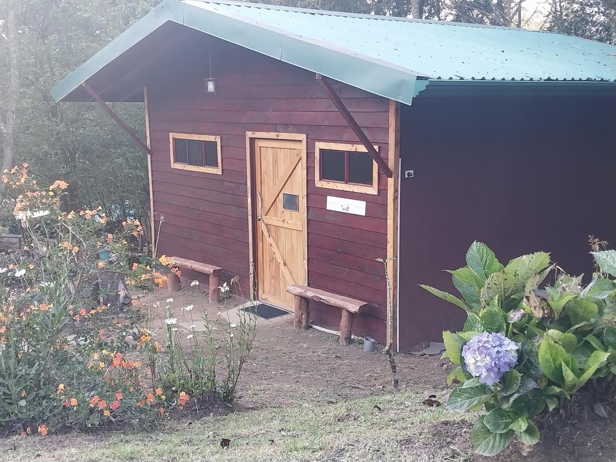 Curuba Lodge Copey Exteriör bild